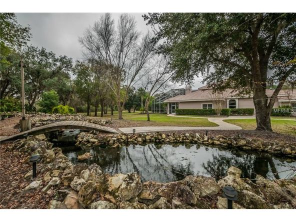 2270 N. Highland Avenue, Tarpon Springs, FL 34688 Photo 17