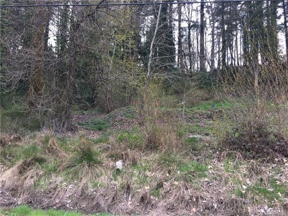 2986 Madrona Dr  