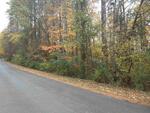3228 Lake Wylie Dr., Rock Hill, SC 29732 Photo 2